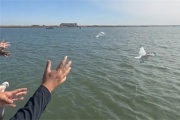 海撒礼仪服务升级通知